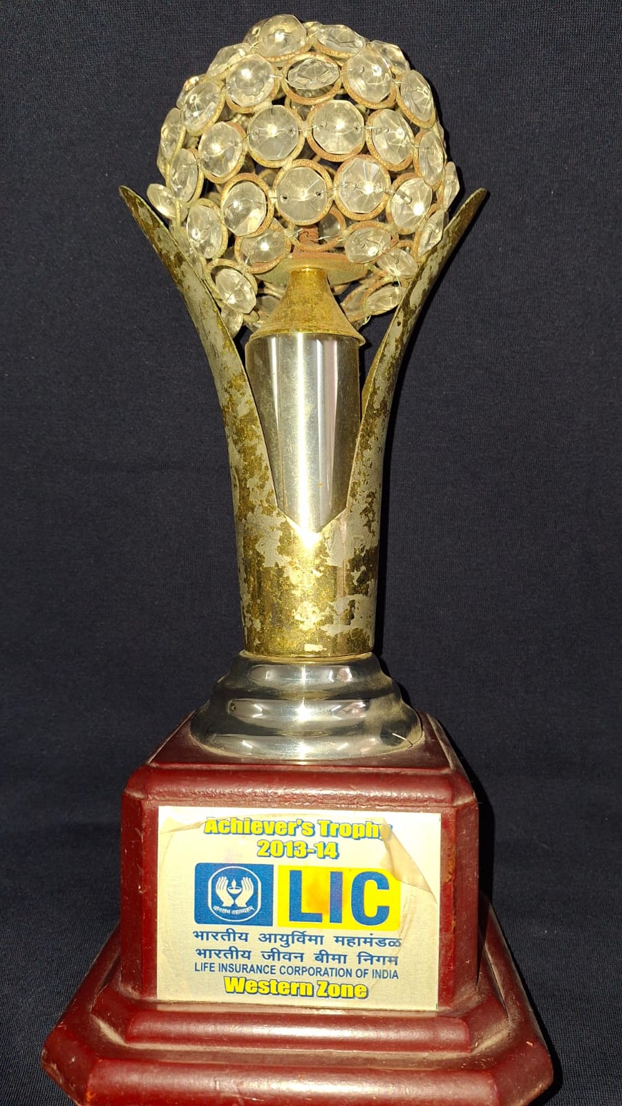 Achiver's Trophy 2013-14