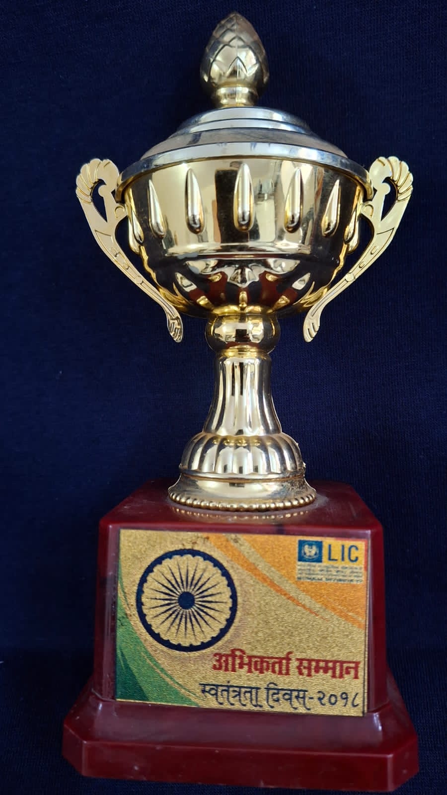 Trophy For Achievement