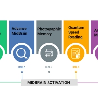 Midbrain Activation