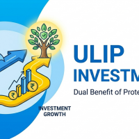 ULIP Fund Investment